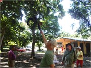 CostaRica_19