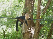 CostaRica_23