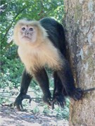 CostaRica_27