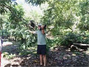 CostaRica_41