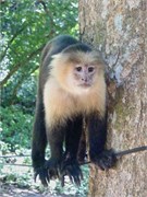 CostaRica_46