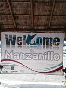 Manzanillo3_1