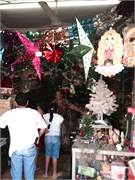 Manzanillo3_10