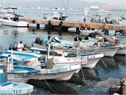 Manzanillo3_6