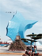 Manzanillo_13