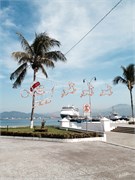 Manzanillo_27