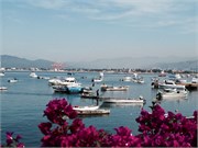 Manzanillo_34