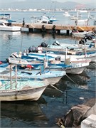 Manzanillo_36