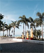 PuertoVallarta3_3
