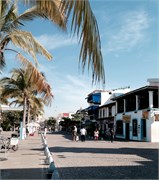 PuertoVallarta_19