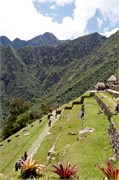MachaPicchu3_29