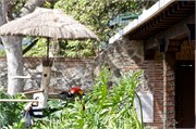 Guatemala3_22