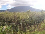 Guatemala_104