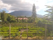 Guatemala_105