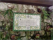 Guatemala_19