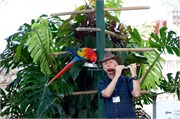 Guatemala_27