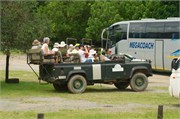 35923_MpongoB