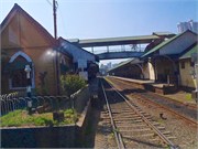 ColomboST-2291
