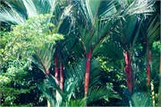 KualaLumpurA-43