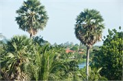 PhuketA-221