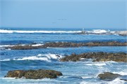 RobbenIsland11