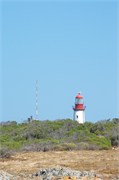 RobbenIsland12