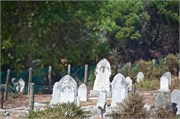 RobbenIsland13