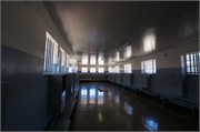 RobbenIsland18