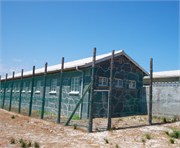 RobbenIsland25