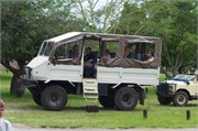 Mpongo60