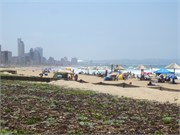 Durban20