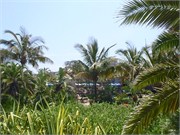 Durban27