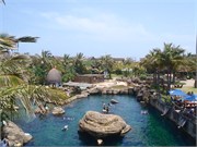 Durban37