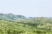 Hluhluwe12