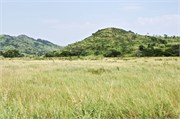 Hluhluwe8