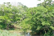 RichardsBay30