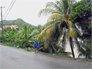 PraslinSeychelles8
