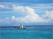 CerfIsland11
