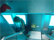 CerfIsland7
