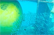 WU_Maldives10