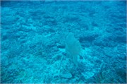 WU_Maldives12