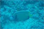 WU_Maldives13