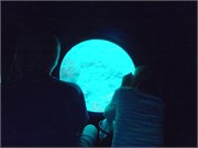 WU_Maldives14