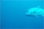 WU_Maldives15