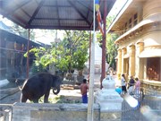 SriLanka36
