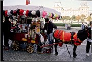 Versailles_8
