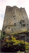BlarneyCastle_10