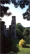 BlarneyCastle_22