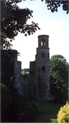 BlarneyCastle_23