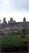 MuckrossAbbey_2